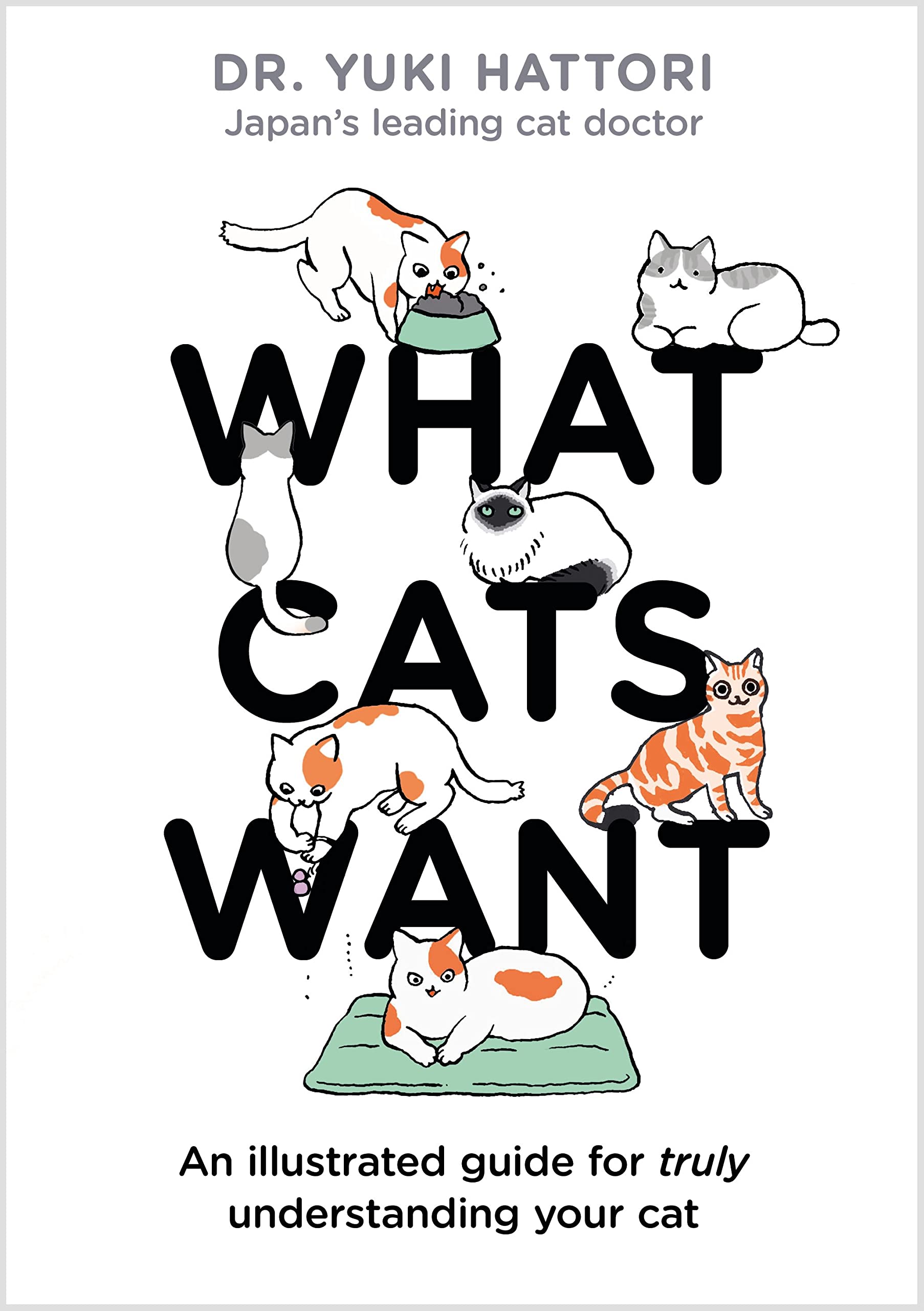 Product Image: What Cats Want