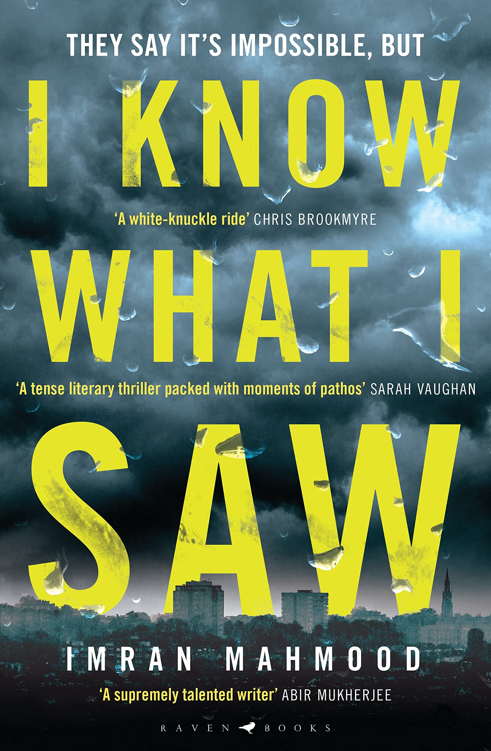I Know What I Saw: The gripping new thriller from the author of BBC1's YOU DON'T KNOW ME Social Sciences