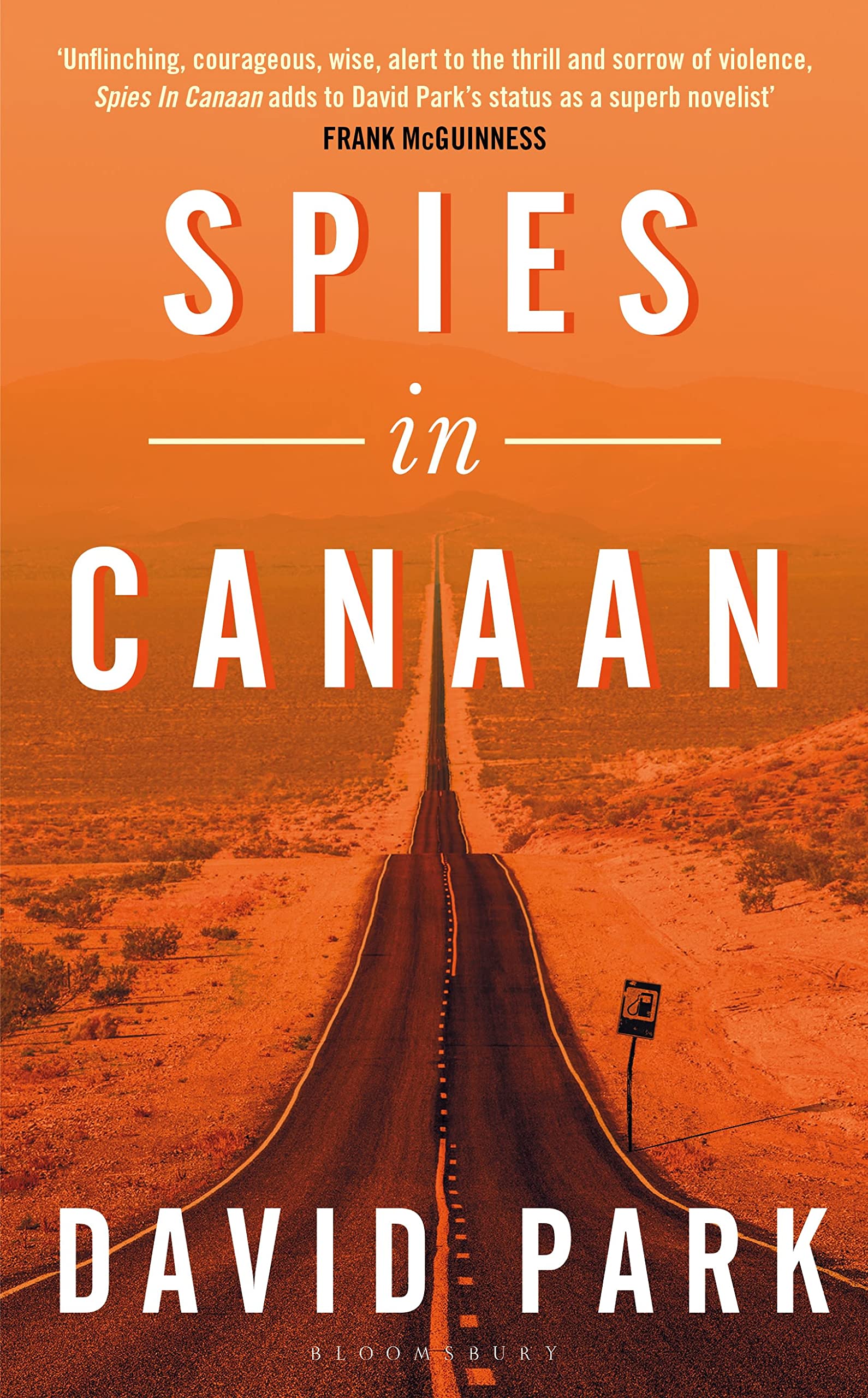 Spies in Canaan: 'One of the most powerful and probing novels so far this year' - Financial Times, Best summer reads of 2022 Action & Adventure