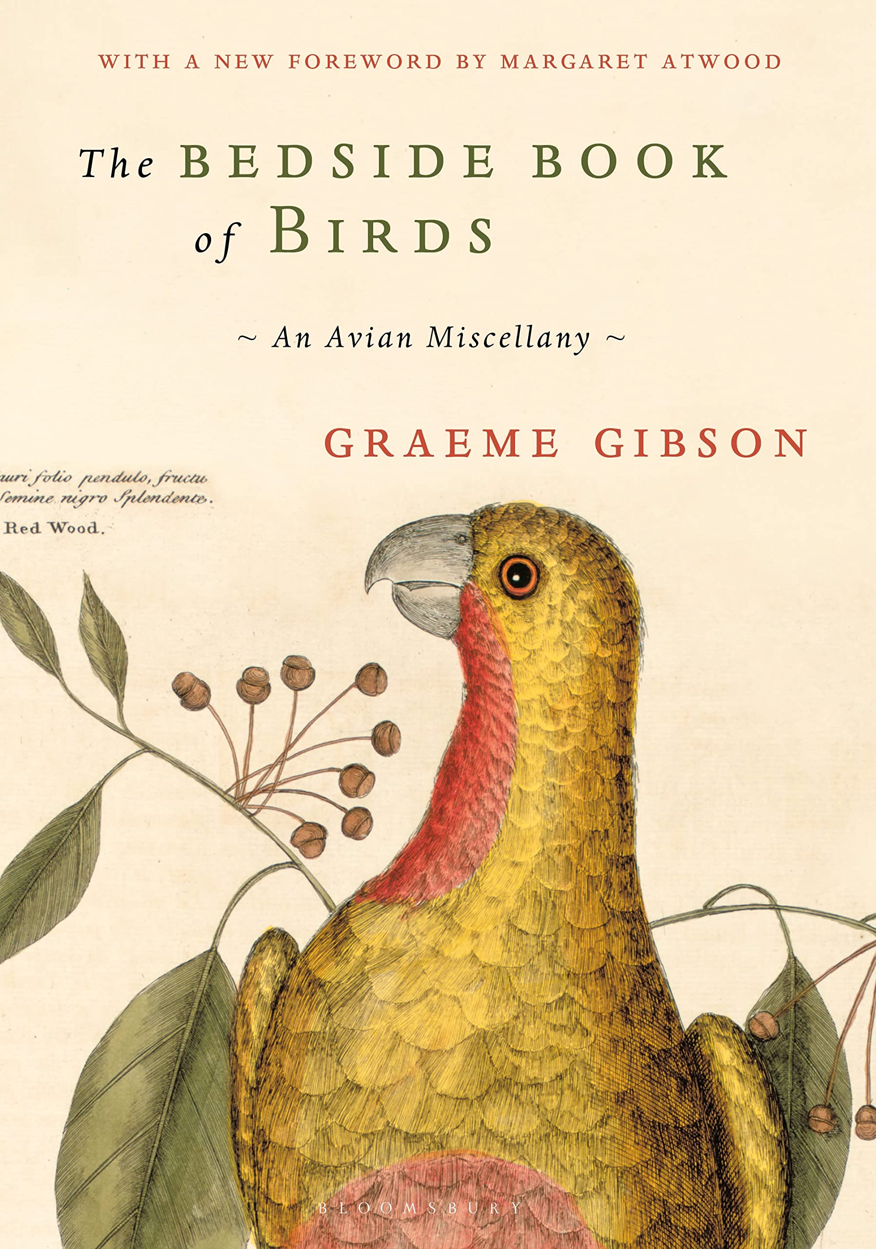 The Bedside Book of Birds Mathematics