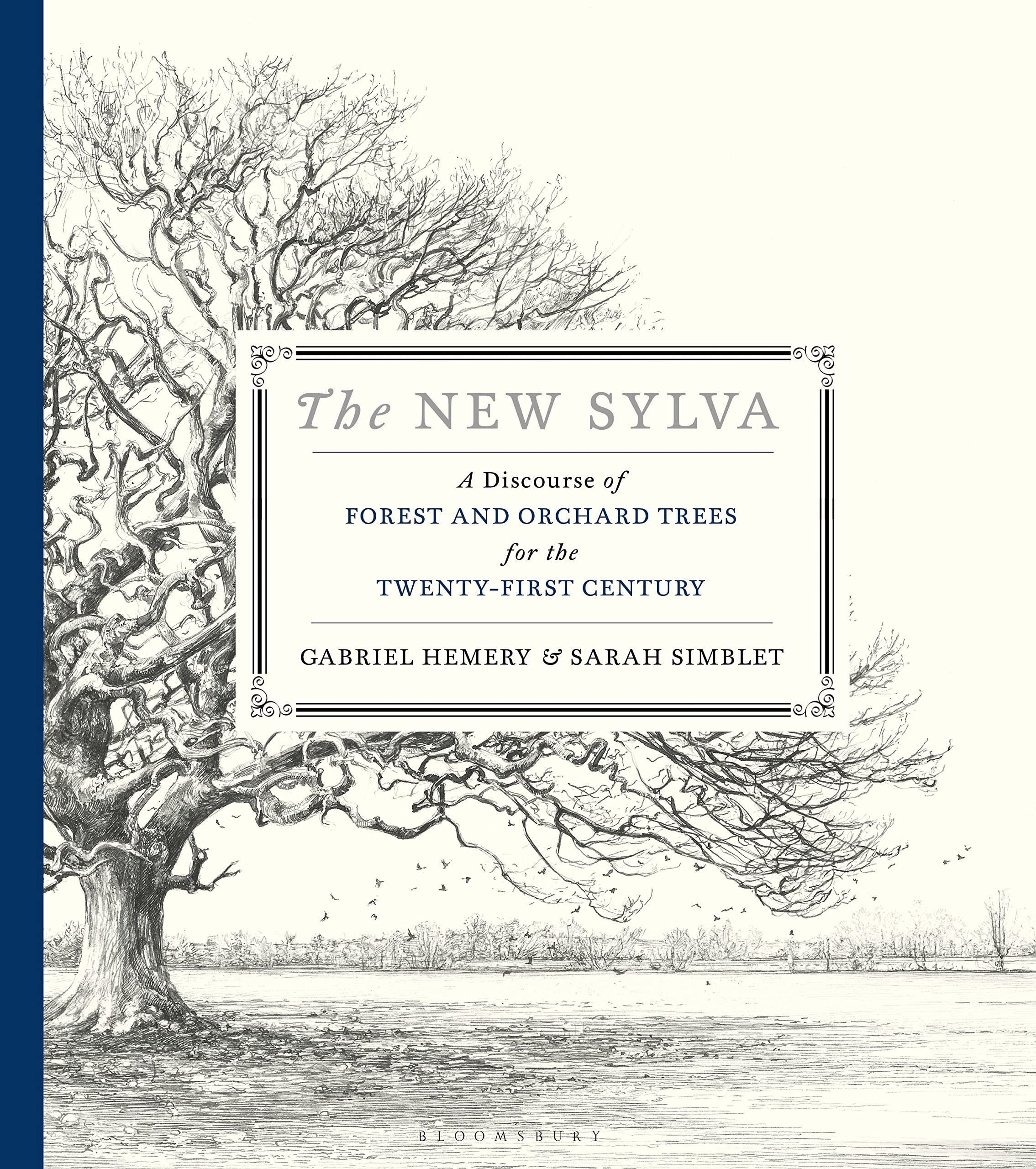 The New Sylva: A Discourse of Forest and Orchard Trees for the Twenty-First Century Mathematics