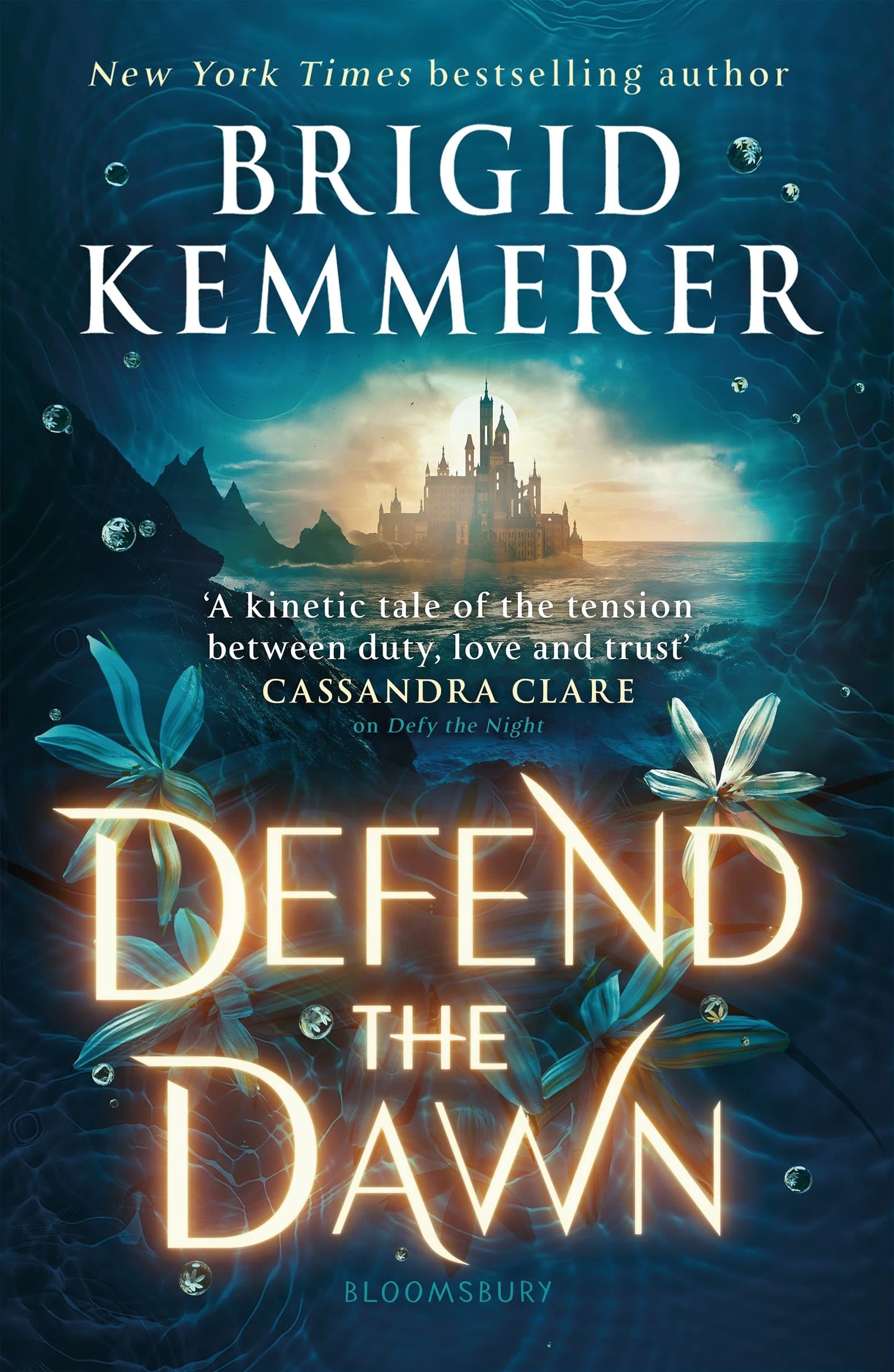 Defend the Dawn Contemporary literature Books