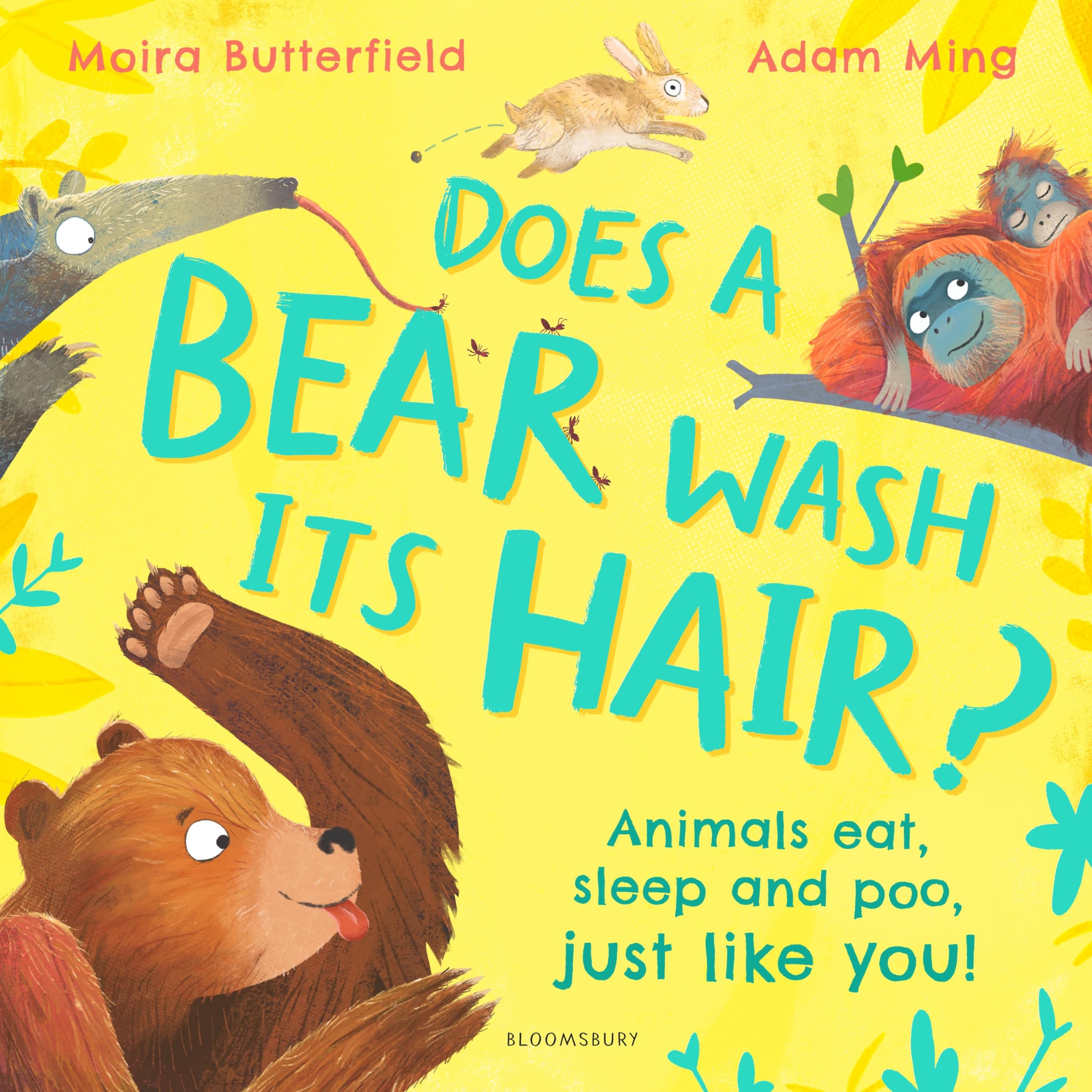 Does a Bear Wash its Hair?: Animals eat, sleep and poo, just like you! Non-fiction