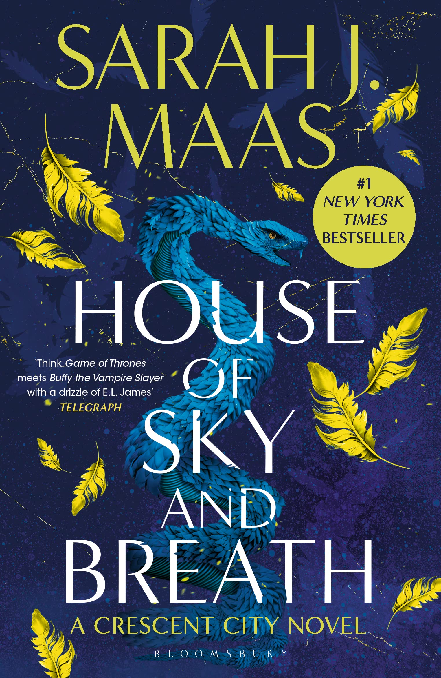 House of Sky and Breath (Crescent City) Contemporary literature