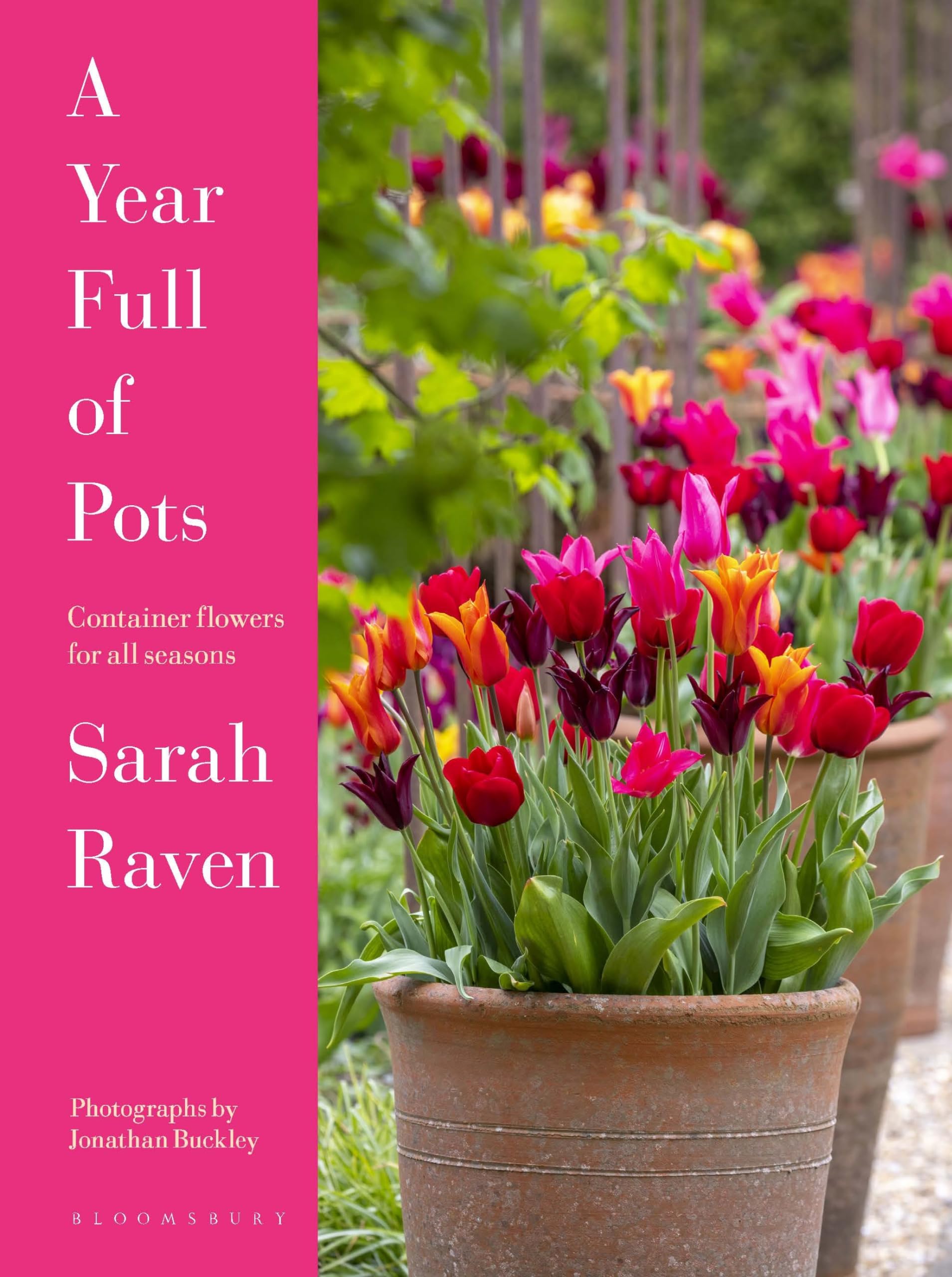 A Year Full of Pots: Container Flowers for All Seasons Garden & Plants