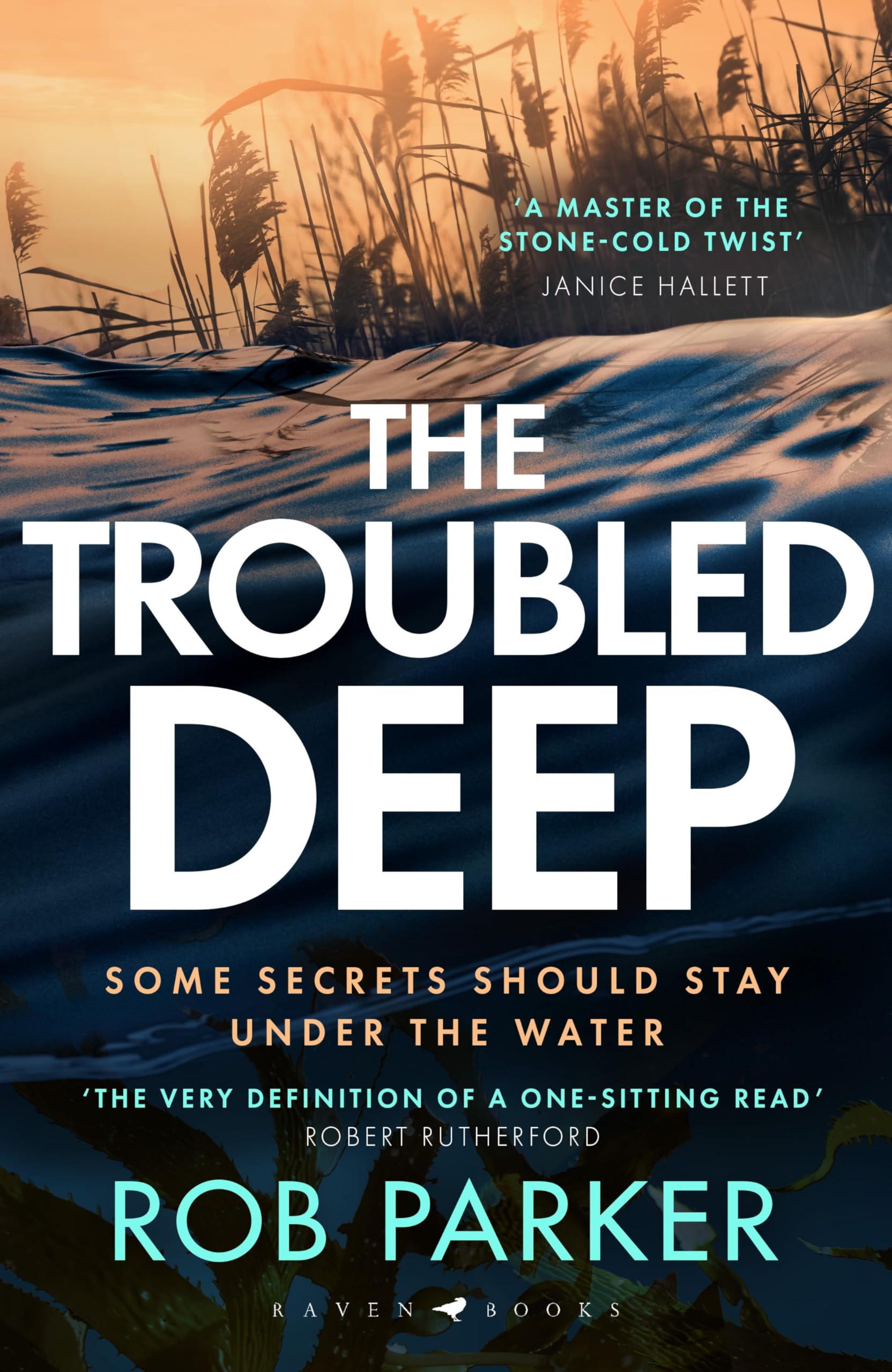 The Troubled Deep Contemporary literature Books