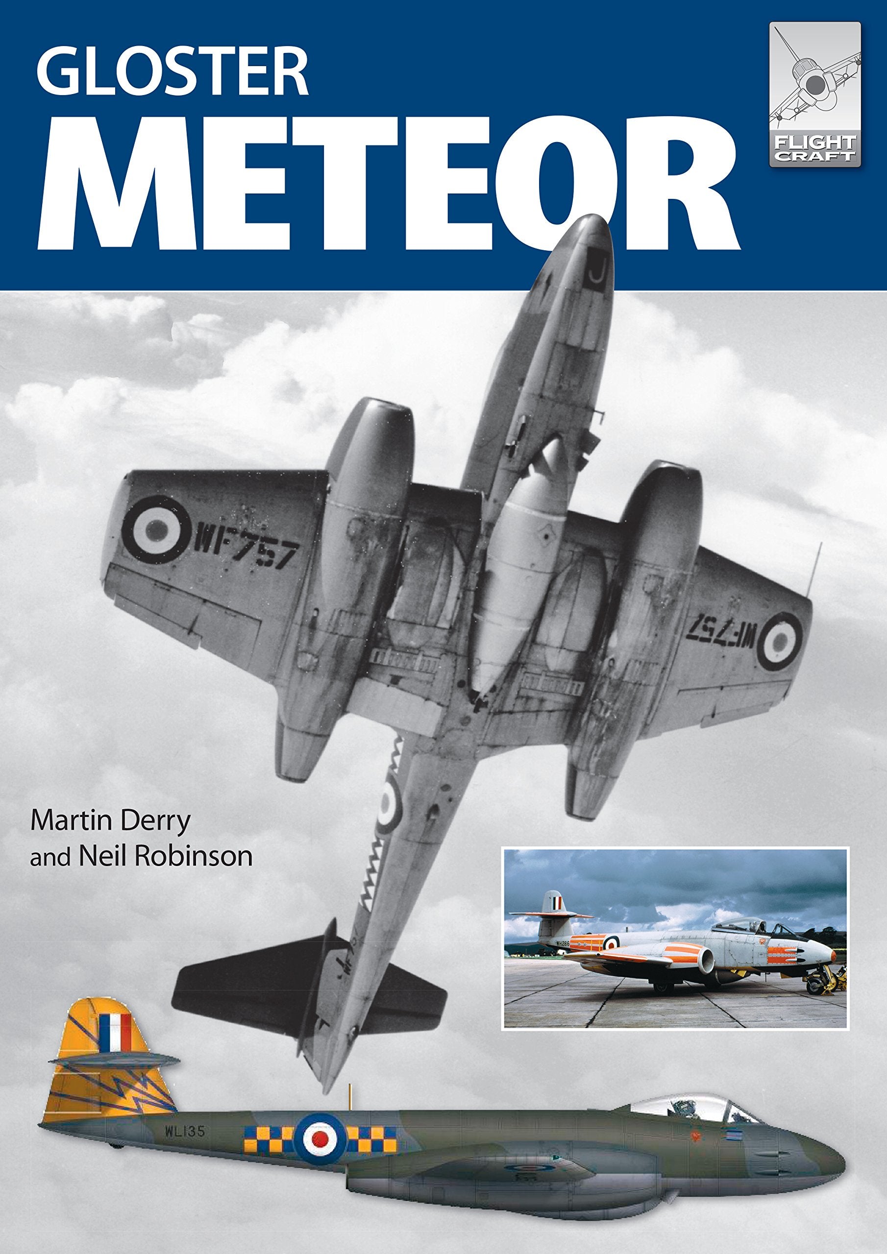 Gloster Meteor in British Service (Flightcraft, 13, Band 13) Social Sciences