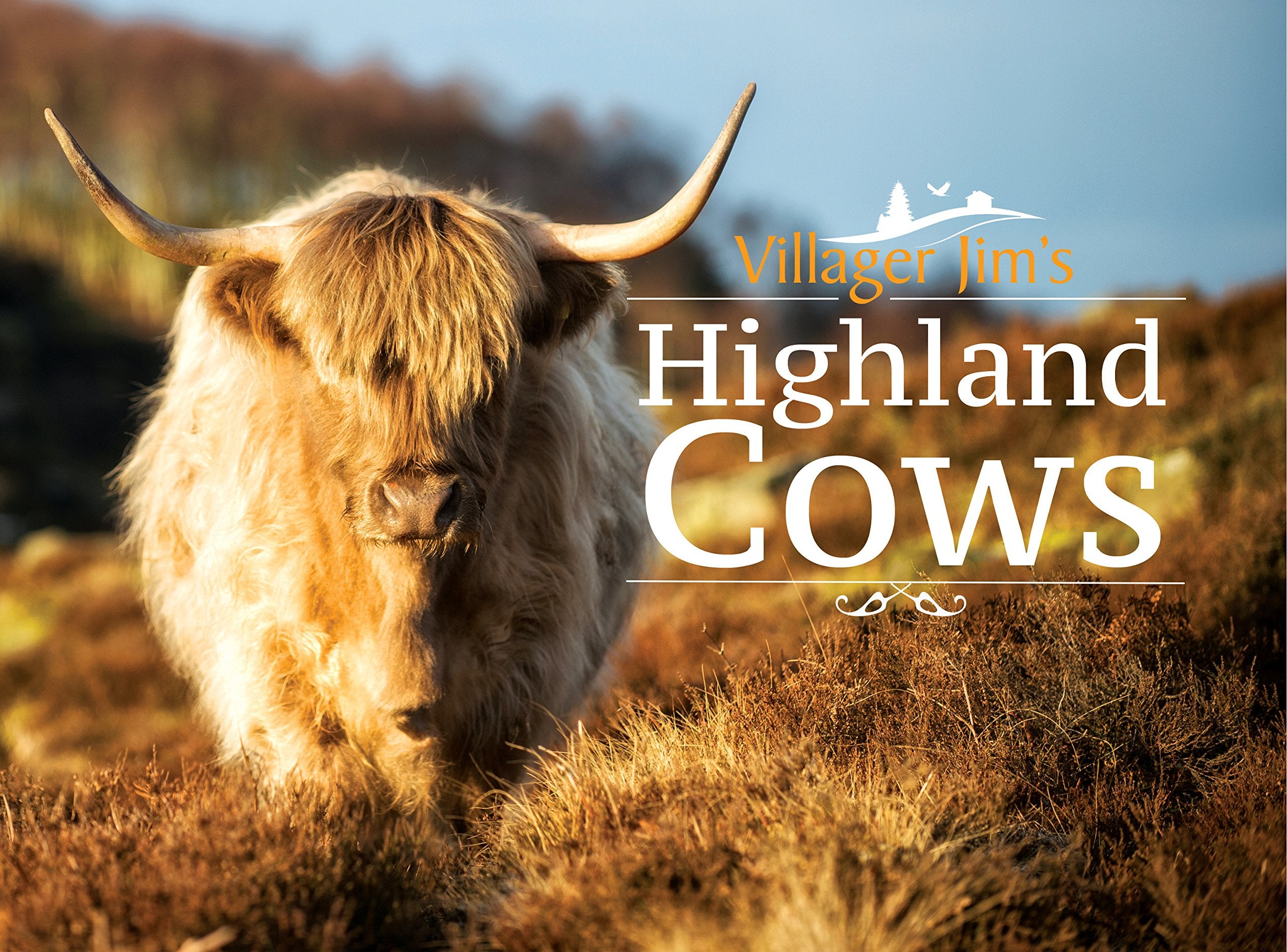 Villager Jim's Highland Cows Mathematics