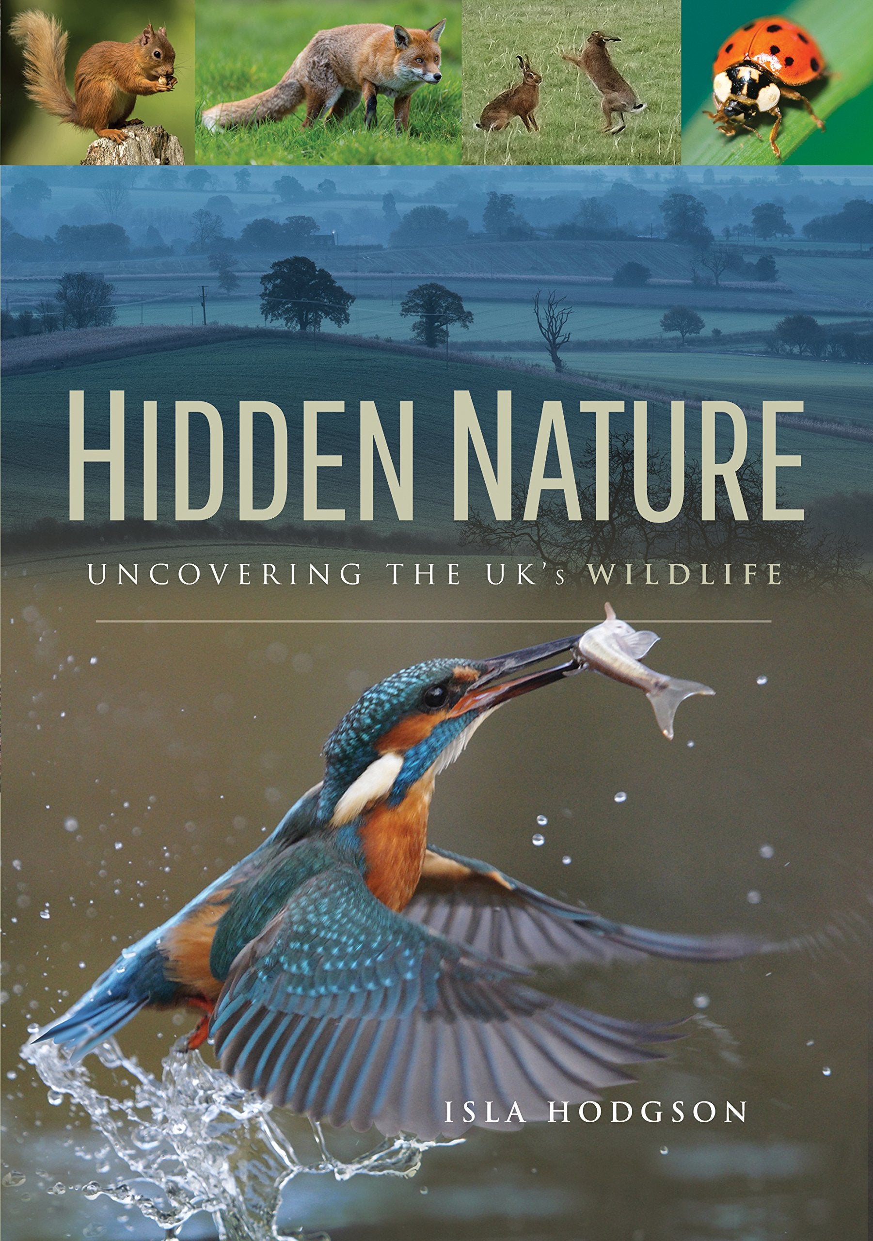 Hidden Nature: Uncovering the UK's Wildlife Mathematics