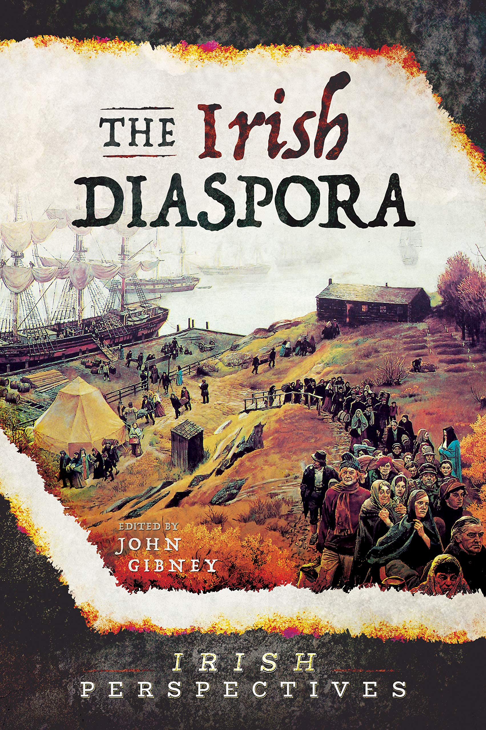 The Irish Diaspora (Irish Perspectives) Books