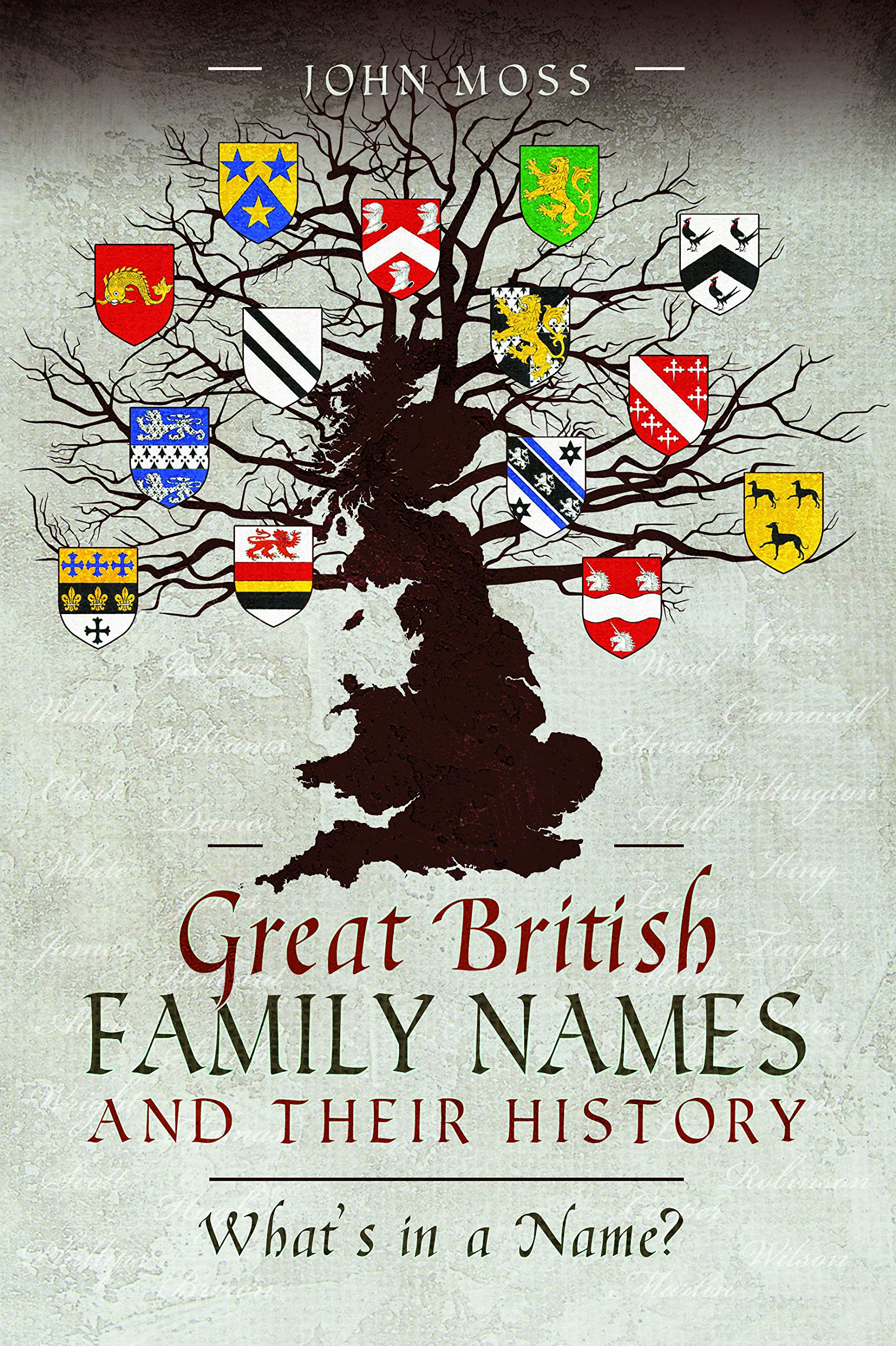 Great British Family Names and Their History: What's in a Name? Reference Books