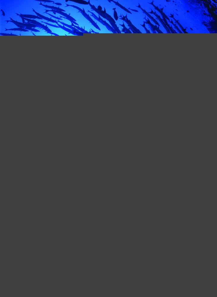 Product Image: Corporate Finance, 4e