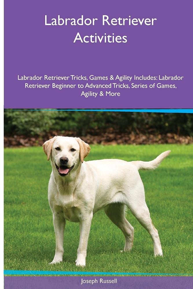 Labrador Retriever Activities Labrador Retriever Tricks, Games & Agility. Includes: Labrador Retriever Beginner to Advanced Tricks, Series of Games, ... Tricks, Series of Games, Agility and More Pets