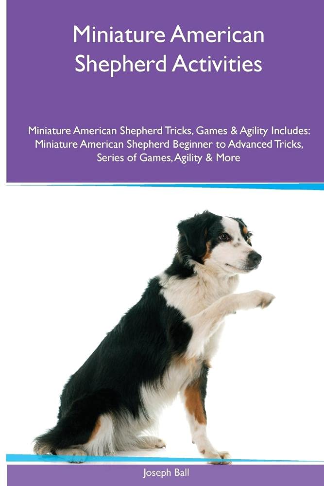 Miniature American Shepherd Activities Miniature American Shepherd Tricks, Games & Agility. Includes: Miniature American Shepherd Beginner to ... Tricks, Series of Games, Agility and More Pets