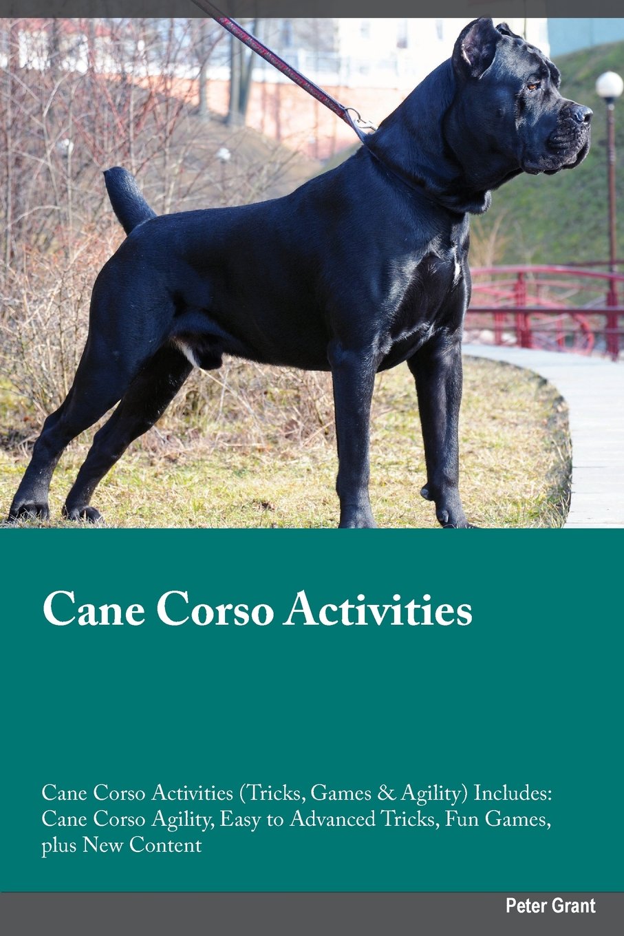 Cane Corso Activities Cane Corso Activities (Tricks, Games & Agility) Includes: Cane Corso Agility, Easy to Advanced Tricks, Fun Games, plus New Content book