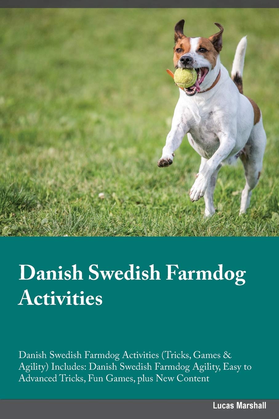 Danish Swedish Farmdog Activities Danish Swedish Farmdog Activities (Tricks, Games & Agility) Includes: Danish Swedish Farmdog Agility, Easy to Advanced Tricks, Fun Games, plus New Content book