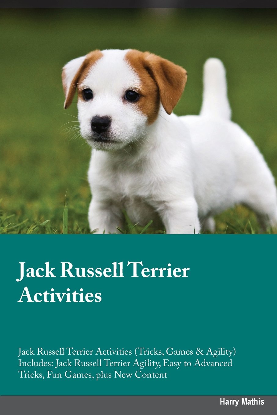 Jack Russell Terrier Activities Jack Russell Terrier Activities (Tricks, Games & Agility) Includes: Jack Russell Terrier Agility, Easy to Advanced ... Advanced Tricks, Fun Games, plus New Content Pets