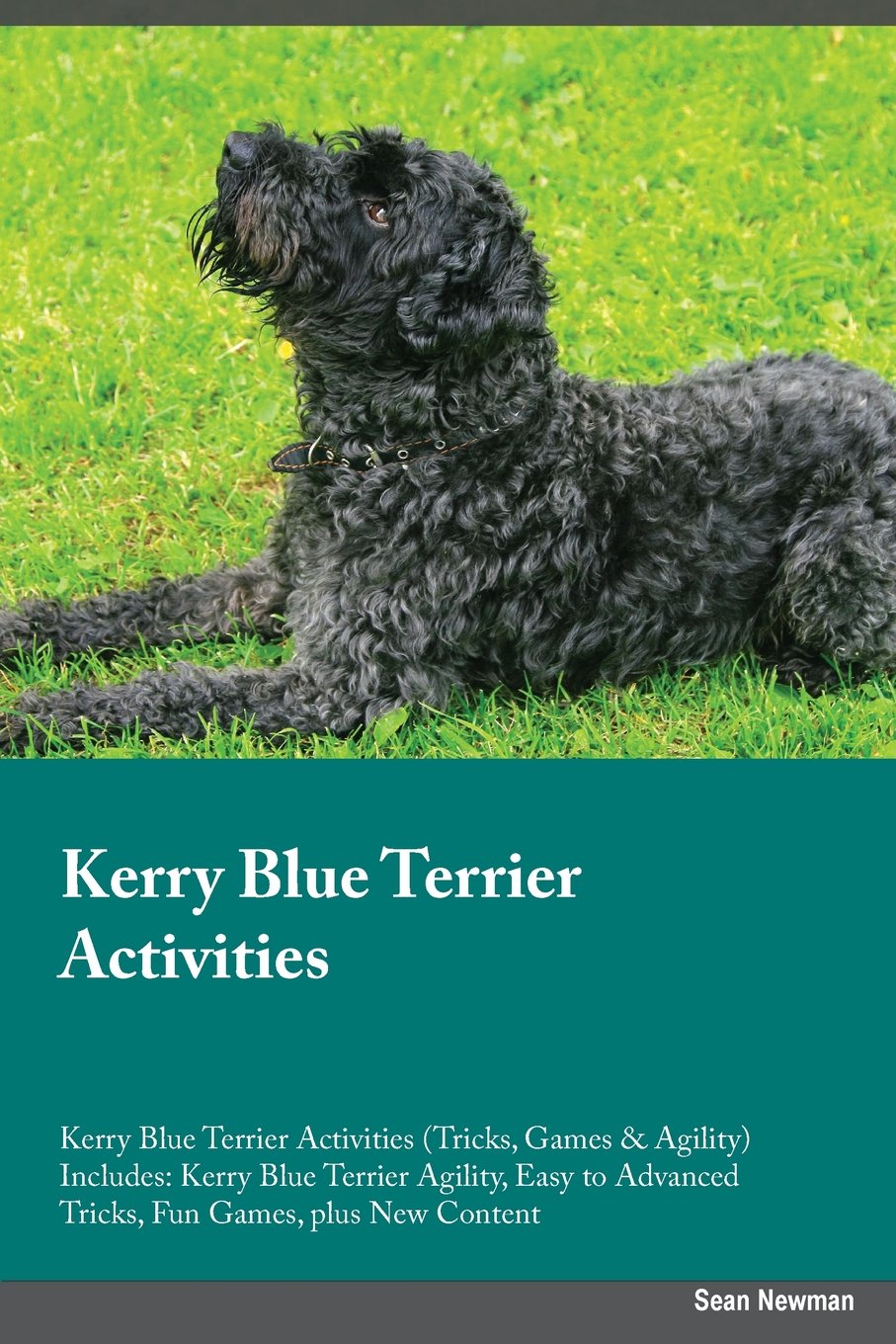 KERRY BLUE TERRIER ACTIVITIES: Kerry Blue Terrier Agility, Easy to Advanced Tricks, Fun Games, plus New Content Pets