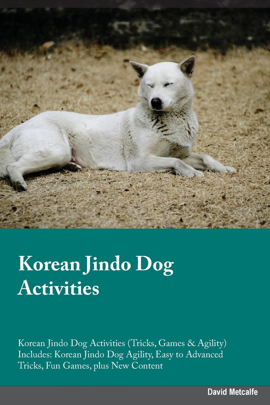 KOREAN JINDO DOG ACTIVITIES KO: Korean Jindo Dog Agility, Easy to Advanced Tricks, Fun Games, plus New Content Pets