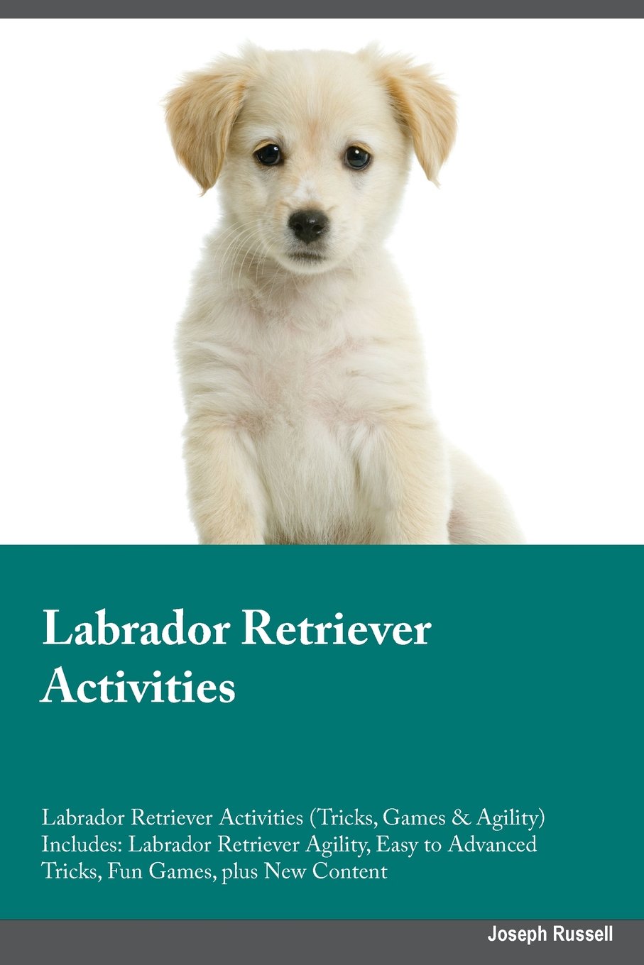 LABRADOR RETRIEVER ACTIVITIES: Labrador Retriever Agility, Easy to Advanced Tricks, Fun Games, plus New Content Pets
