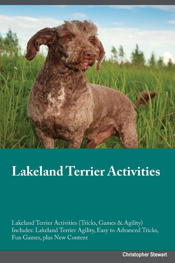 Lakeland Terrier Activities Lakeland Terrier Activities (Tricks, Games & Agility) Includes: Lakeland Terrier Agility, Easy to Advanced Tricks, Fun ... Advanced Tricks, Fun Games, plus New Content Pets