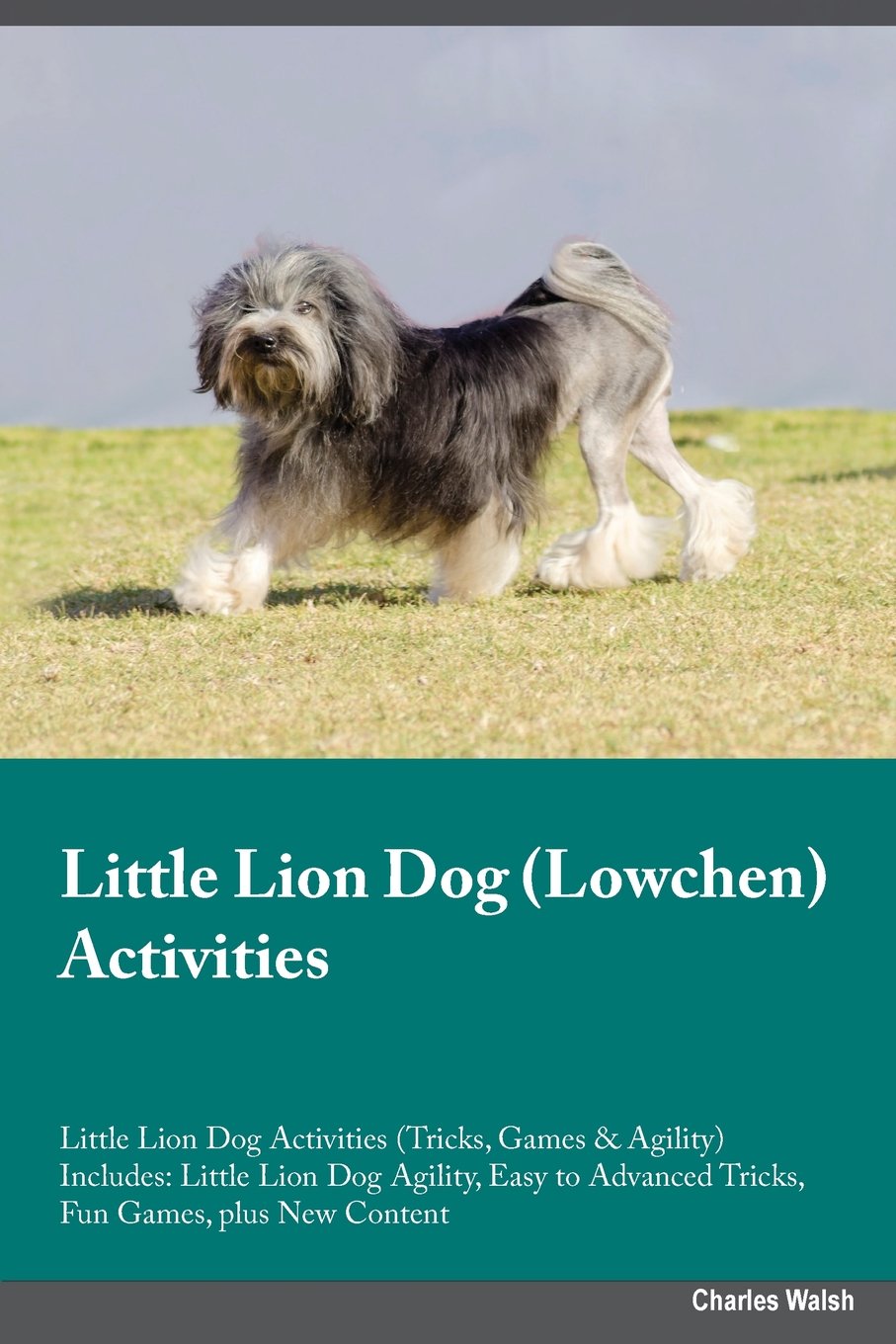 LITTLE LION DOG LOWCHEN ACTIVI: Little Lion Dog Agility, Easy to Advanced Tricks, Fun Games, plus New Content Pets