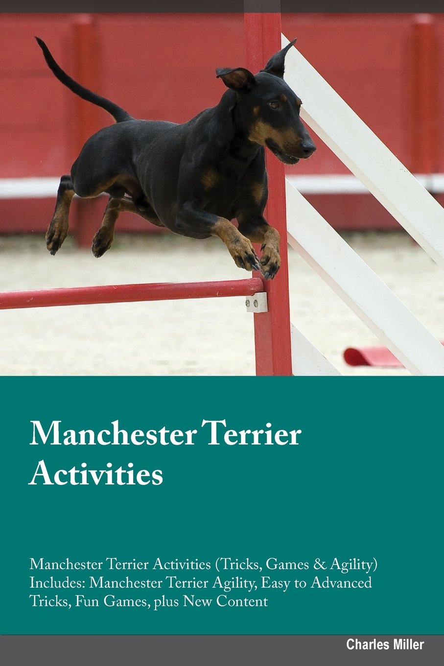 Manchester Terrier Activities Manchester Terrier Activities (Tricks, Games & Agility) Includes: Manchester Terrier Agility, Easy to Advanced Tricks, ... Advanced Tricks, Fun Games, plus New Content Pets