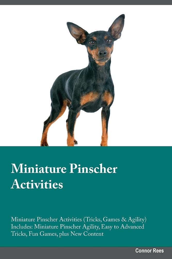 Miniature Pinscher Activities Miniature Pinscher Activities (Tricks, Games & Agility) Includes: Miniature Pinscher Agility, Easy to Advanced Tricks, ... Advanced Tricks, Fun Games, plus New Content Pets