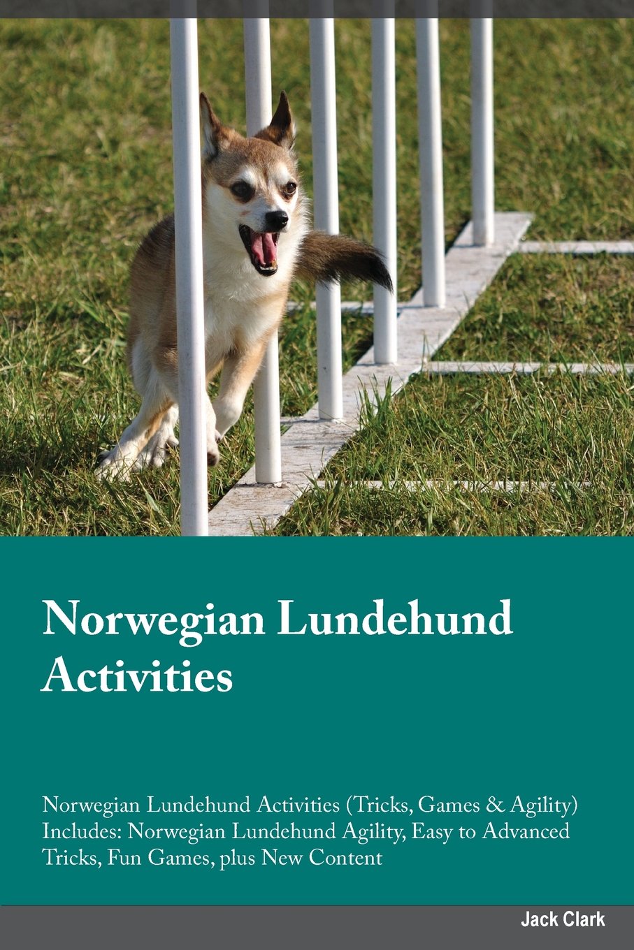 NORWEGIAN LUNDEHUND ACTIVITIES: Norwegian Lundehund Agility, Easy to Advanced Tricks, Fun Games, plus New Content Pets