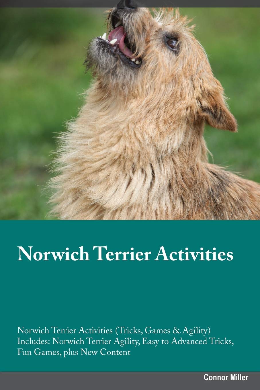 NORWICH TERRIER ACTIVITIES NOR: Norwich Terrier Agility, Easy to Advanced Tricks, Fun Games, plus New Content Pets