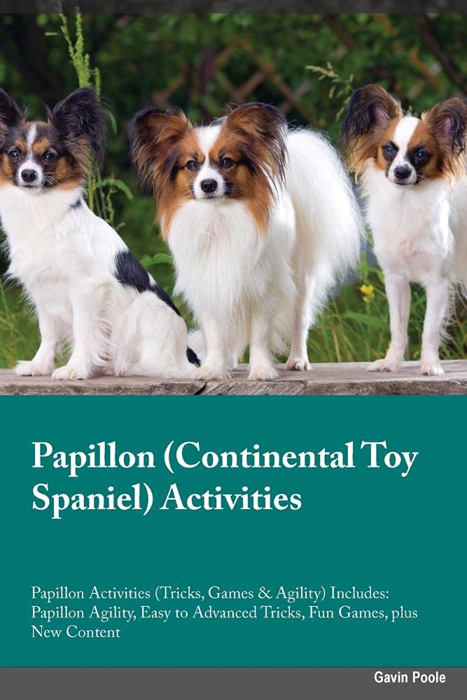 Papillon Continental Toy Spaniel Activities Papillon Activities (Tricks, Games & Agility) Includes: Papillon Agility, Easy to Advanced Tricks, Fun ... Advanced Tricks, Fun Games, plus New Content Pets