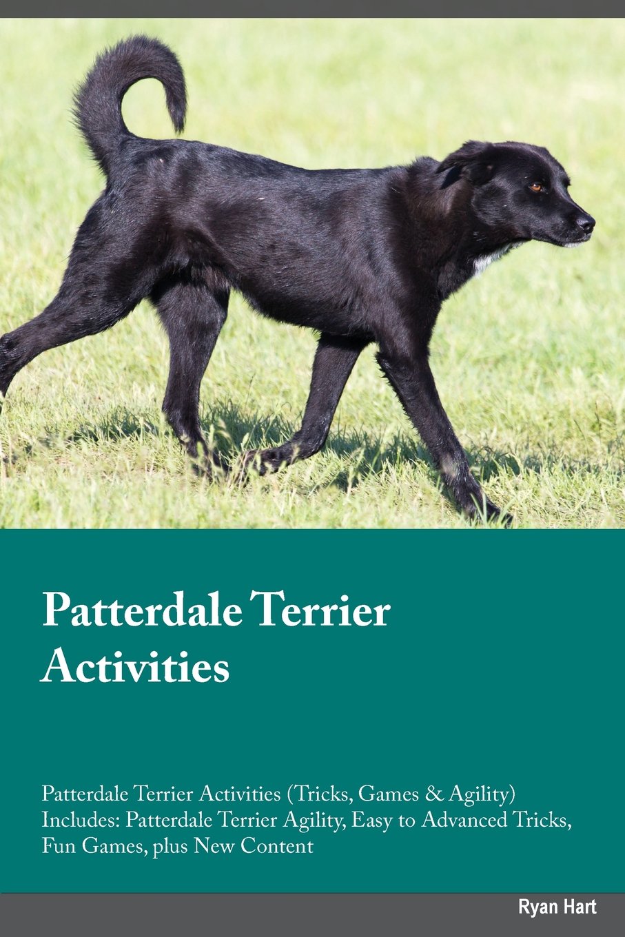 Patterdale Terrier Activities Patterdale Terrier Activities (Tricks, Games & Agility) Includes: Patterdale Terrier Agility, Easy to Advanced Tricks, ... Advanced Tricks, Fun Games, plus New Content Pets