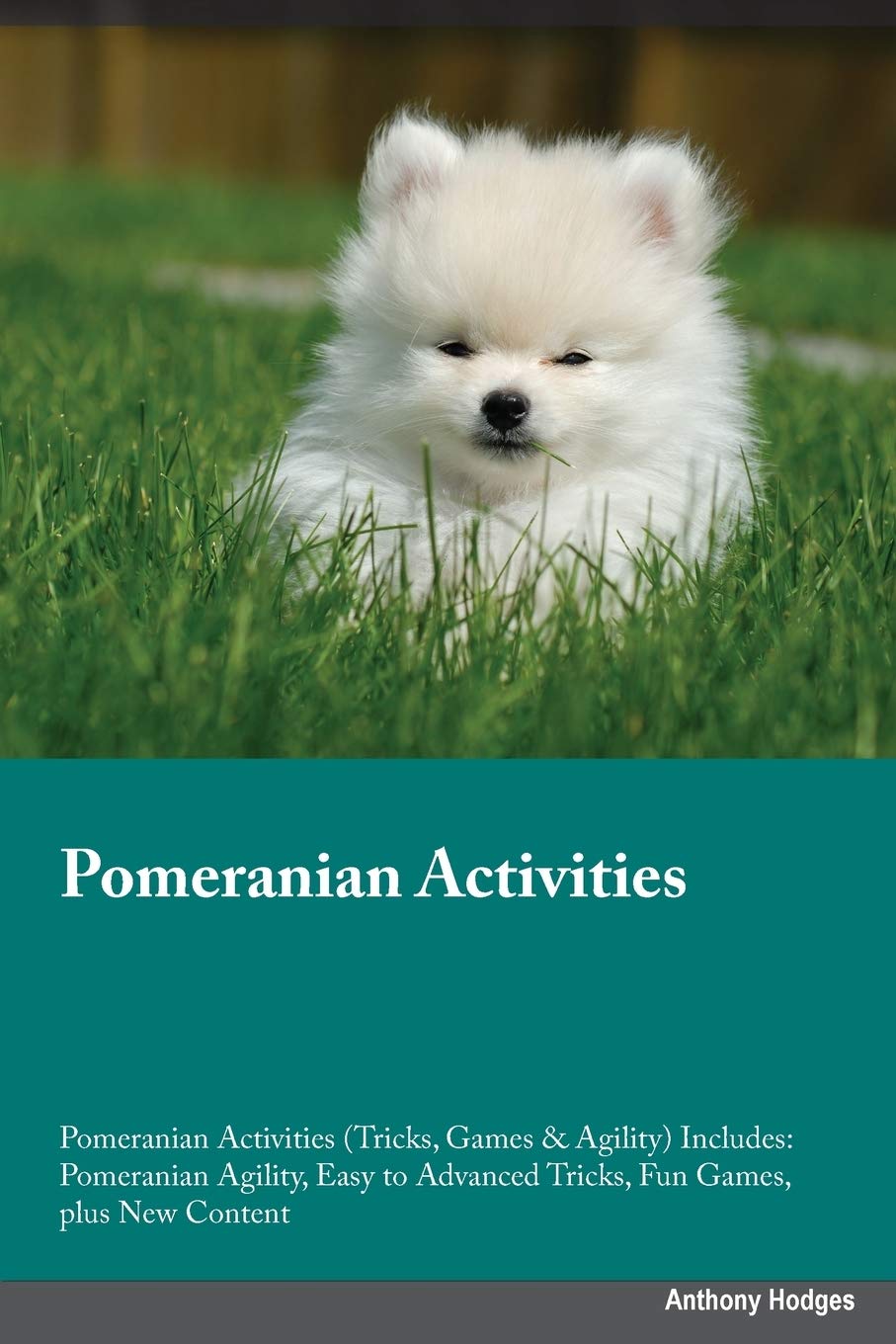 Pomeranian Activities Pomeranian Activities (Tricks, Games & Agility) Includes: Pomeranian Agility, Easy to Advanced Tricks, Fun Games, plus New ... Advanced Tricks, Fun Games, plus New Content Pets
