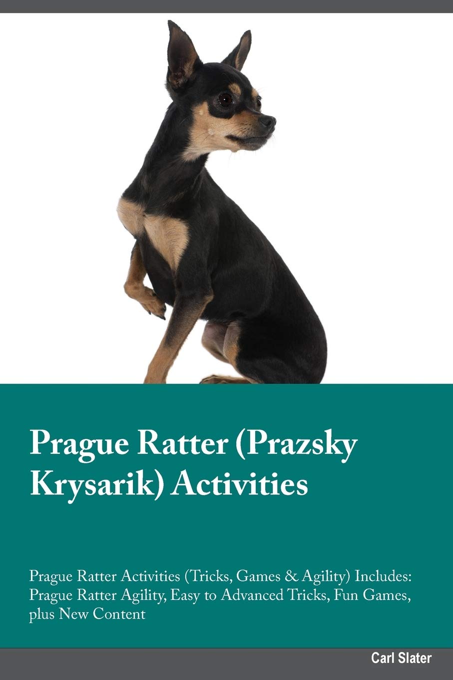 Prague Ratter Prazsky Krysarik Activities Prague Ratter Activities (Tricks, Games & Agility) Includes: Prague Ratter Agility, Easy to Advanced ... Advanced Tricks, Fun Games, plus New Content Pets