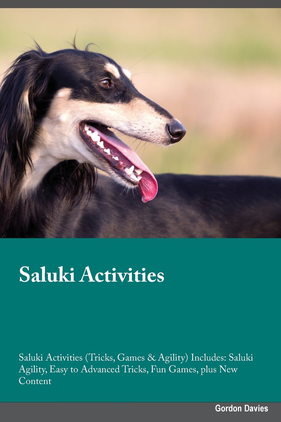 Saluki Activities Saluki Activities (Tricks, Games & Agility) Includes: Saluki Agility, Easy to Advanced Tricks, Fun Games, plus New Content Pets