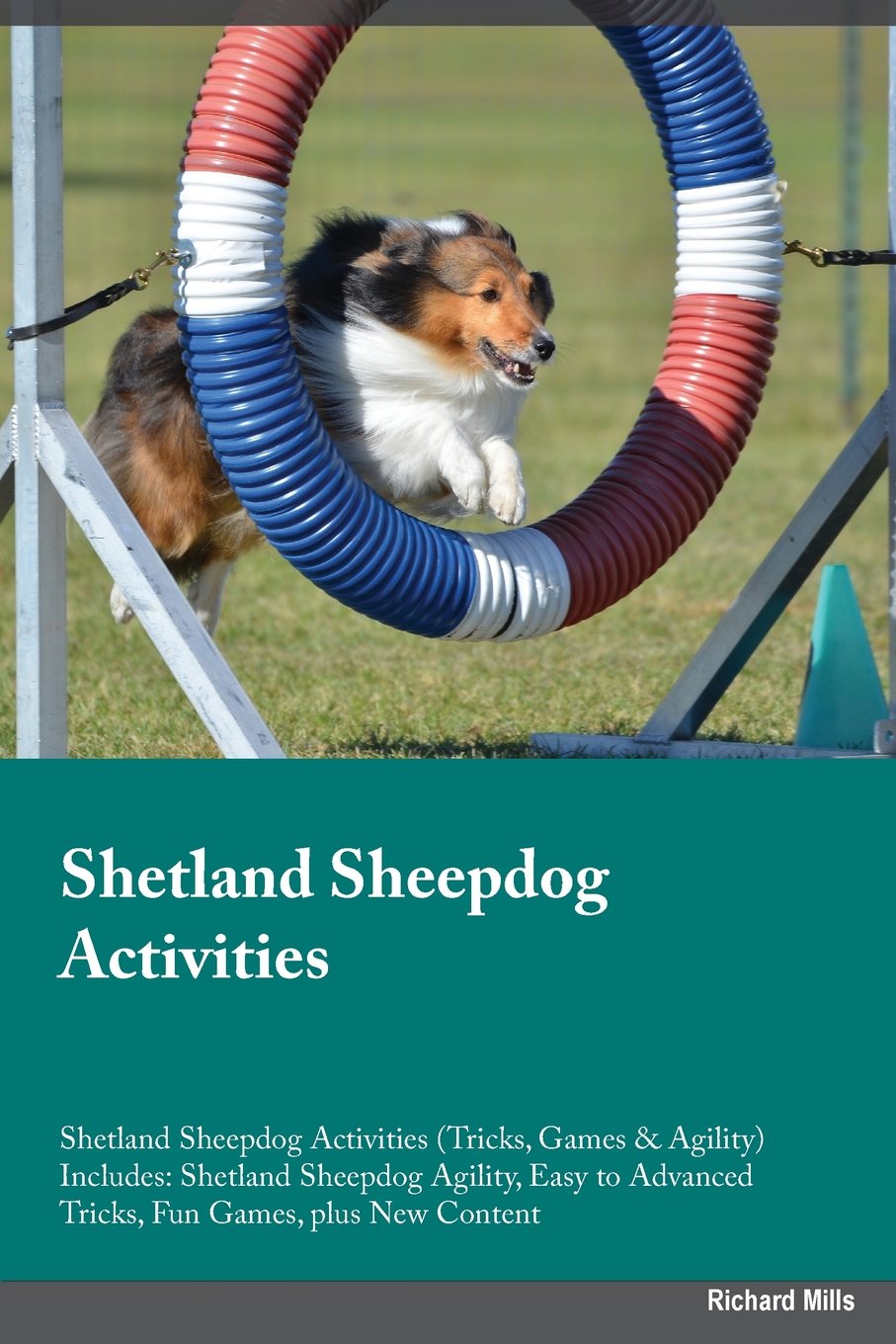 SHETLAND SHEEPDOG ACTIVITIES S: Shetland Sheepdog Agility, Easy to Advanced Tricks, Fun Games, plus New Content Pets