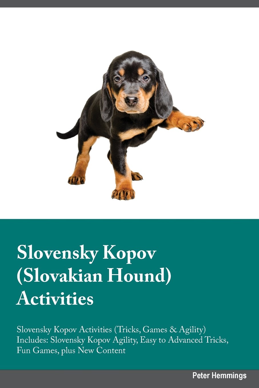 SLOVENSKY KOPOV SLOVAKIAN HOUN: Slovensky Kopov Agility, Easy to Advanced Tricks, Fun Games, plus New Content Pets