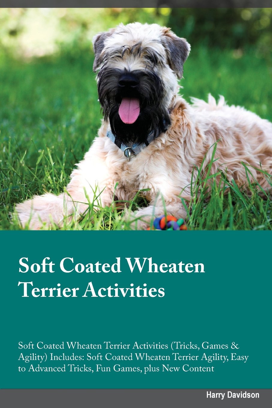 SOFT COATED WHEATEN TERRIER AC: Soft Coated Wheaten Terrier Agility, Easy to Advanced Tricks, Fun Games, plus New Content Pets
