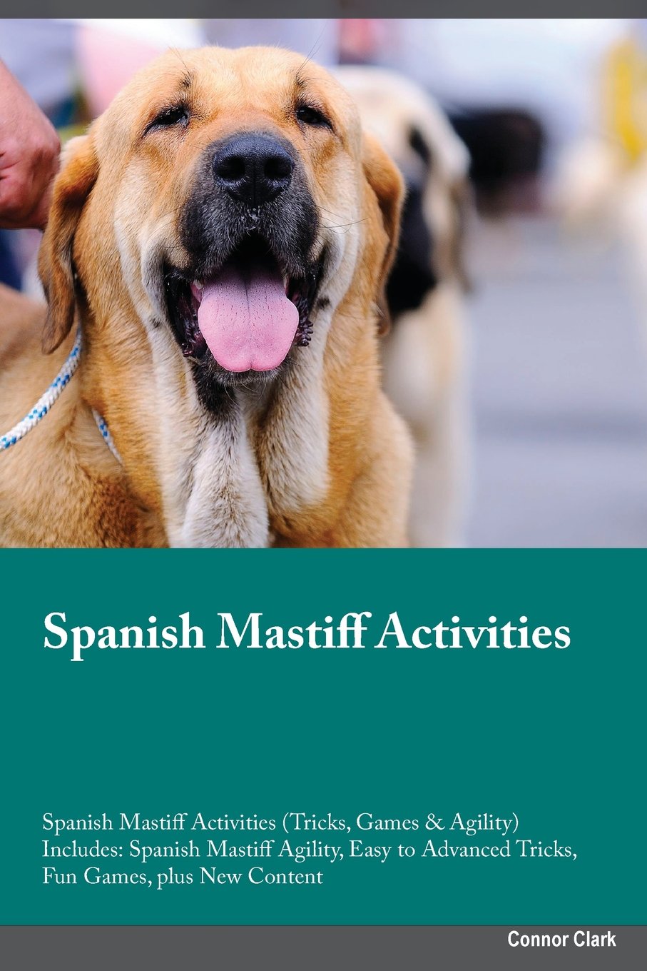 SPANISH MASTIFF ACTIVITIES SPA: Spanish Mastiff Agility, Easy to Advanced Tricks, Fun Games, plus New Content Pets