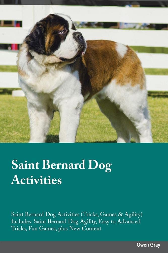 ST BERNARD DOG ACTIVITIES ST B: Saint Bernard Dog Agility, Easy to Advanced Tricks, Fun Games, plus New Content Pets