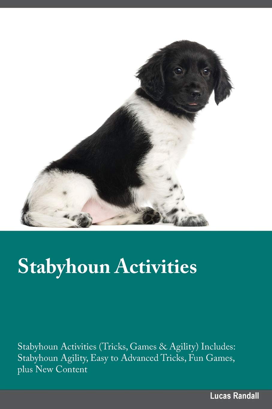 Stabyhoun Activities Stabyhoun Activities (Tricks, Games & Agility) Includes: Stabyhoun Agility, Easy to Advanced Tricks, Fun Games, plus New Content Pets