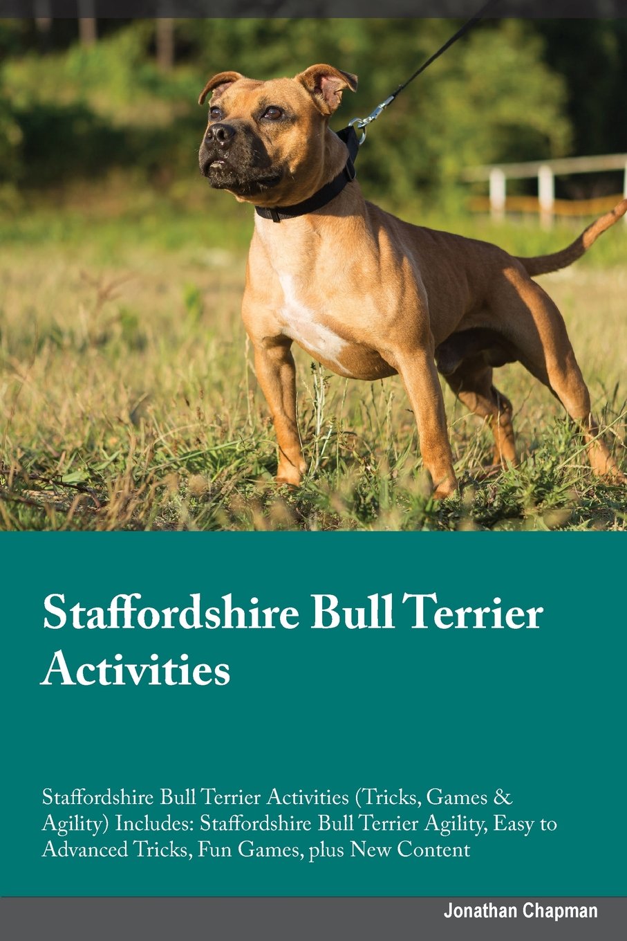 STAFFORDSHIRE BULL TERRIER ACT: Staffordshire Bull Terrier Agility, Easy to Advanced Tricks, Fun Games, plus New Content Pets