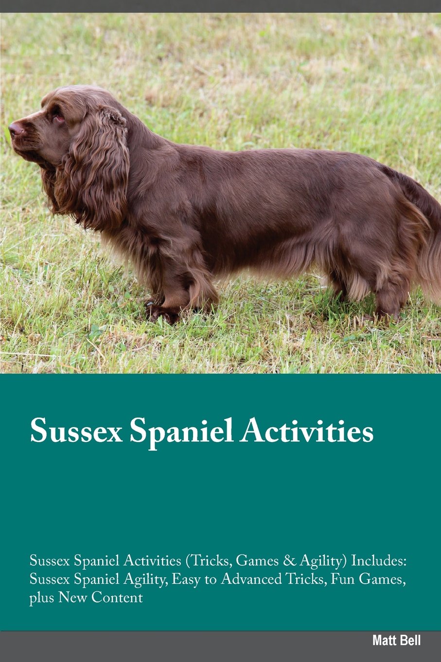 Sussex Spaniel Activities Sussex Spaniel Activities (Tricks, Games & Agility) Includes: Sussex Spaniel Agility, Easy to Advanced Tricks, Fun Games, ... Advanced Tricks, Fun Games, plus New Content Pets