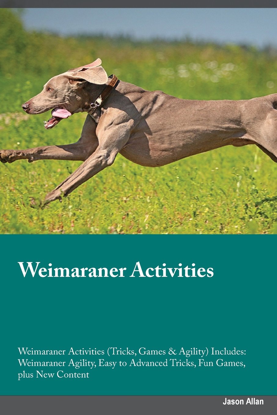 Weimaraner Activities Weimaraner Activities (Tricks, Games & Agility) Includes: Weimaraner Agility, Easy to Advanced Tricks, Fun Games, plus New ... Advanced Tricks, Fun Games, plus New Content Pets