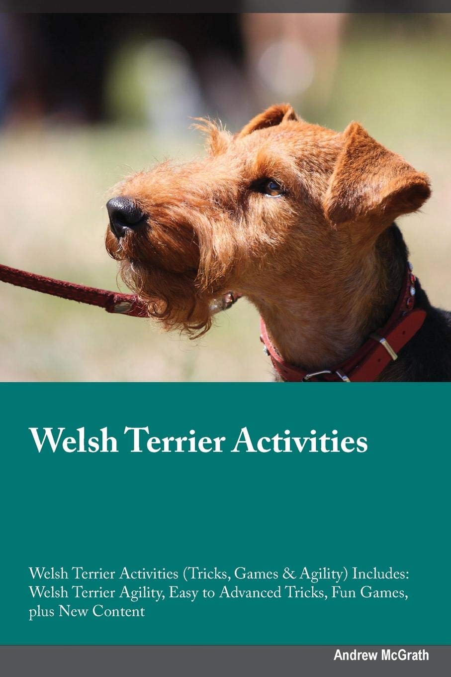 Welsh Terrier Activities Welsh Terrier Activities (Tricks, Games & Agility) Includes: Welsh Terrier Agility, Easy to Advanced Tricks, Fun Games, plus: ... Advanced Tricks, Fun Games, plus New Content Pets