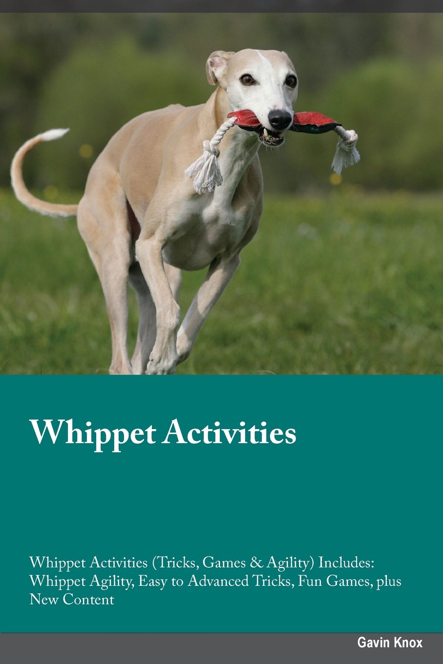 Whippet Activities Whippet Activities (Tricks, Games & Agility) Includes: Whippet Agility, Easy to Advanced Tricks, Fun Games, plus New Content Pets