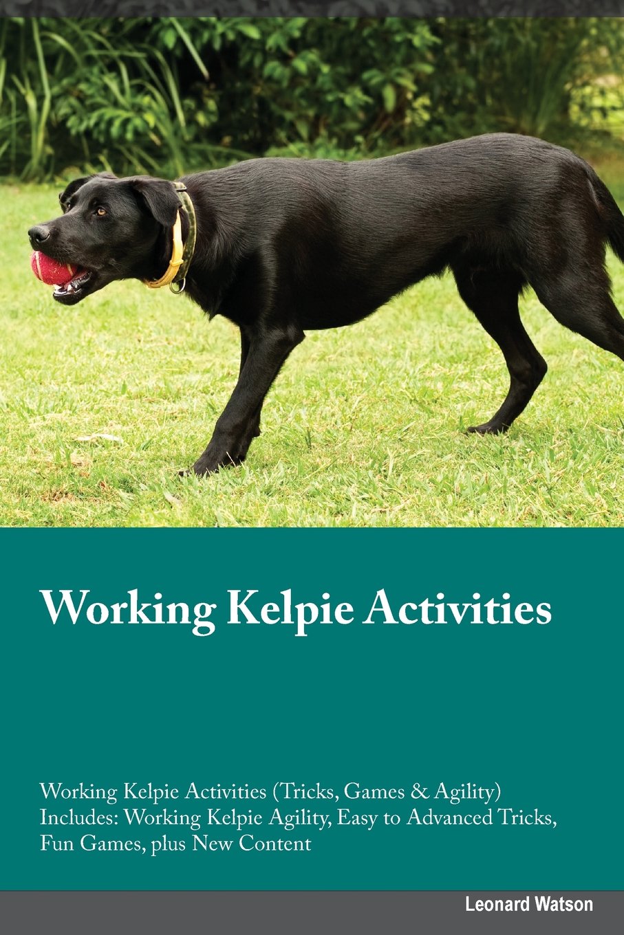 Working Kelpie Activities Working Kelpie Activities (Tricks, Games & Agility) Includes: Working Kelpie Agility, Easy to Advanced Tricks, Fun Games, ... Advanced Tricks, Fun Games, plus New Content Pets