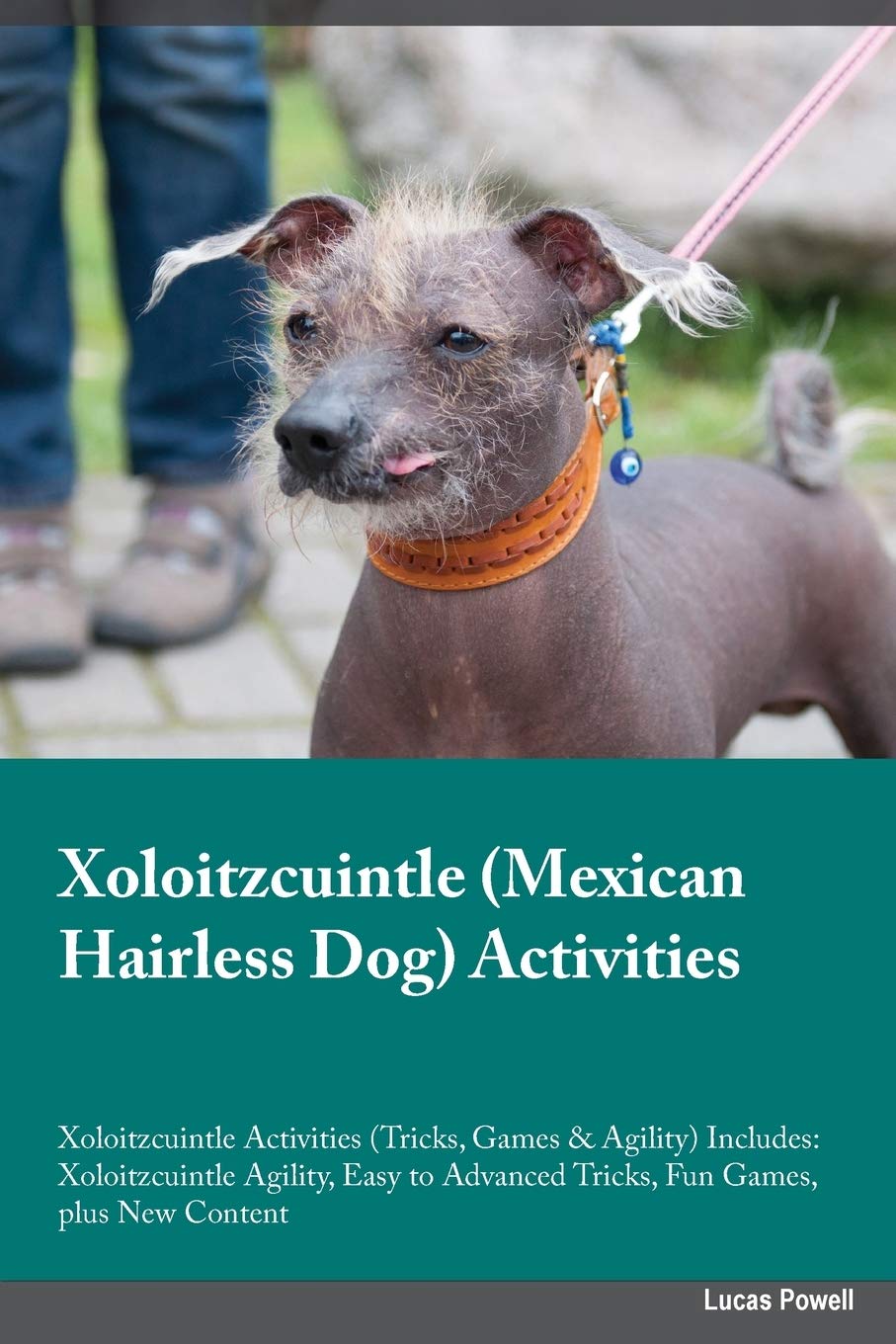 Xoloitzcuintle Mexican Hairless Dog Activities Xoloitzcuintle Activities (Tricks, Games & Agility) Includes: Xoloitzcuintle Agility, Easy to Advanced: ... Advanced Tricks, Fun Games, plus New Content Pets