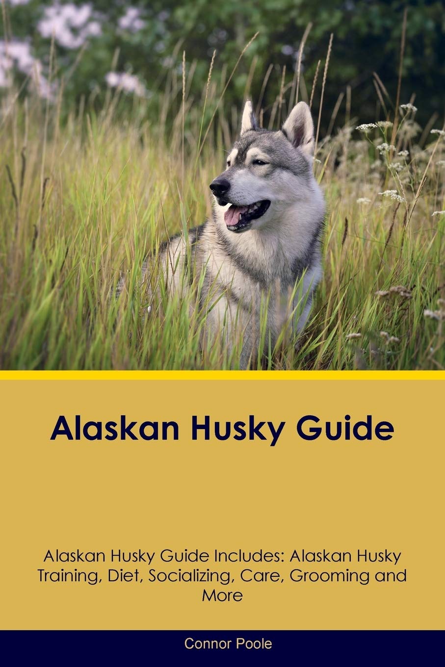 ALASKAN HUSKY GD ALASKAN HUSKY: Alaskan Husky Training, Diet, Socializing, Care, Grooming, Breeding and More Pets