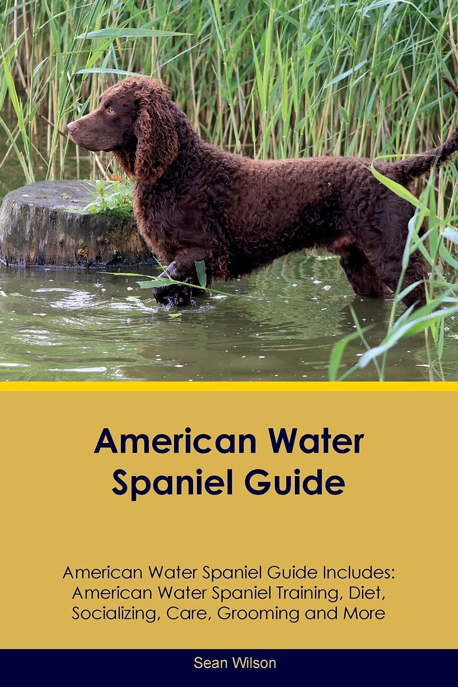 AMER WATER SPANIEL GD AMER WAT: American Water Spaniel Training, Diet, Socializing, Care, Grooming, Breeding and More Pets
